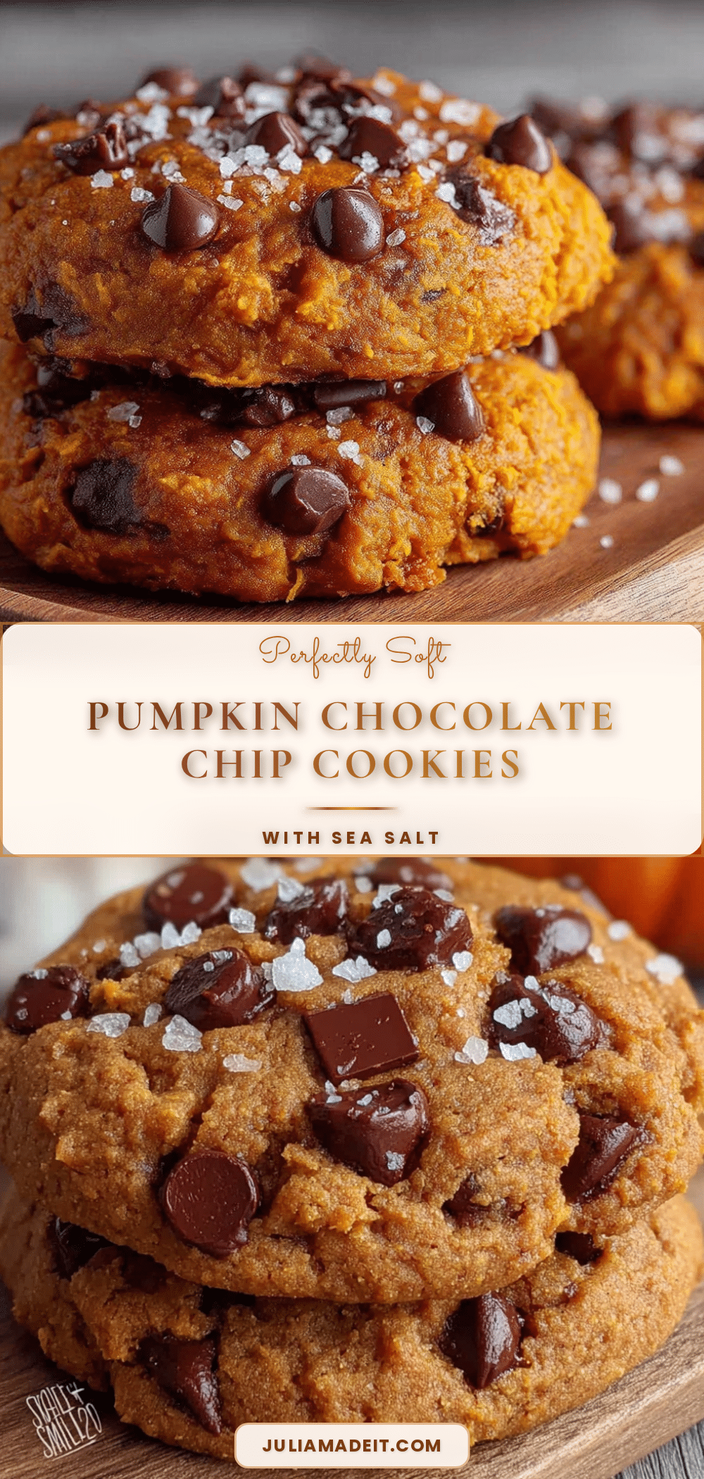 pumpkin chocolate chip cookies recipe
