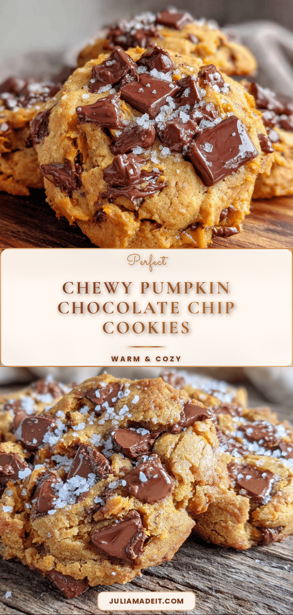 chewy pumpkin chocolate chip cookies recipe