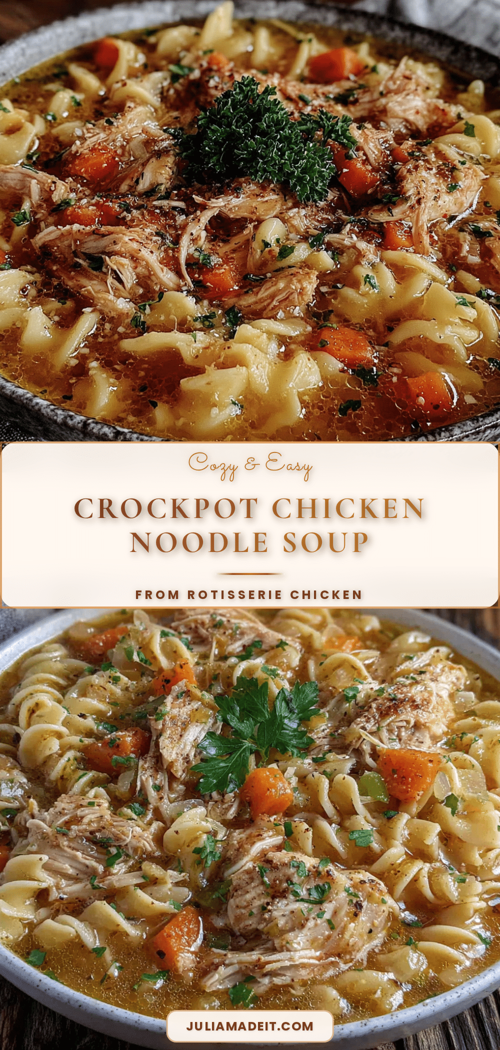 crockpot chicken noodle soup with rotisserie chicken recipe
