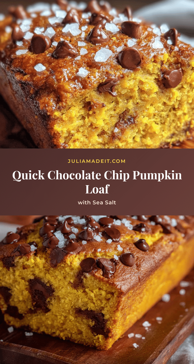 quick chocolate chip pumpkin loaf with sea salt recipe